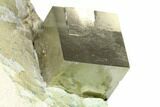 Large, Natural Pyrite Cube In Rock - Navajun, Spain #168513-1